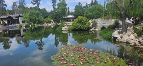 A Spring Morning at The Huntington: Beauty, History, and a Breath of Fresh Air