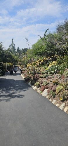 A Spring Morning at The Huntington: Beauty, History, and a Breath of Fresh Air