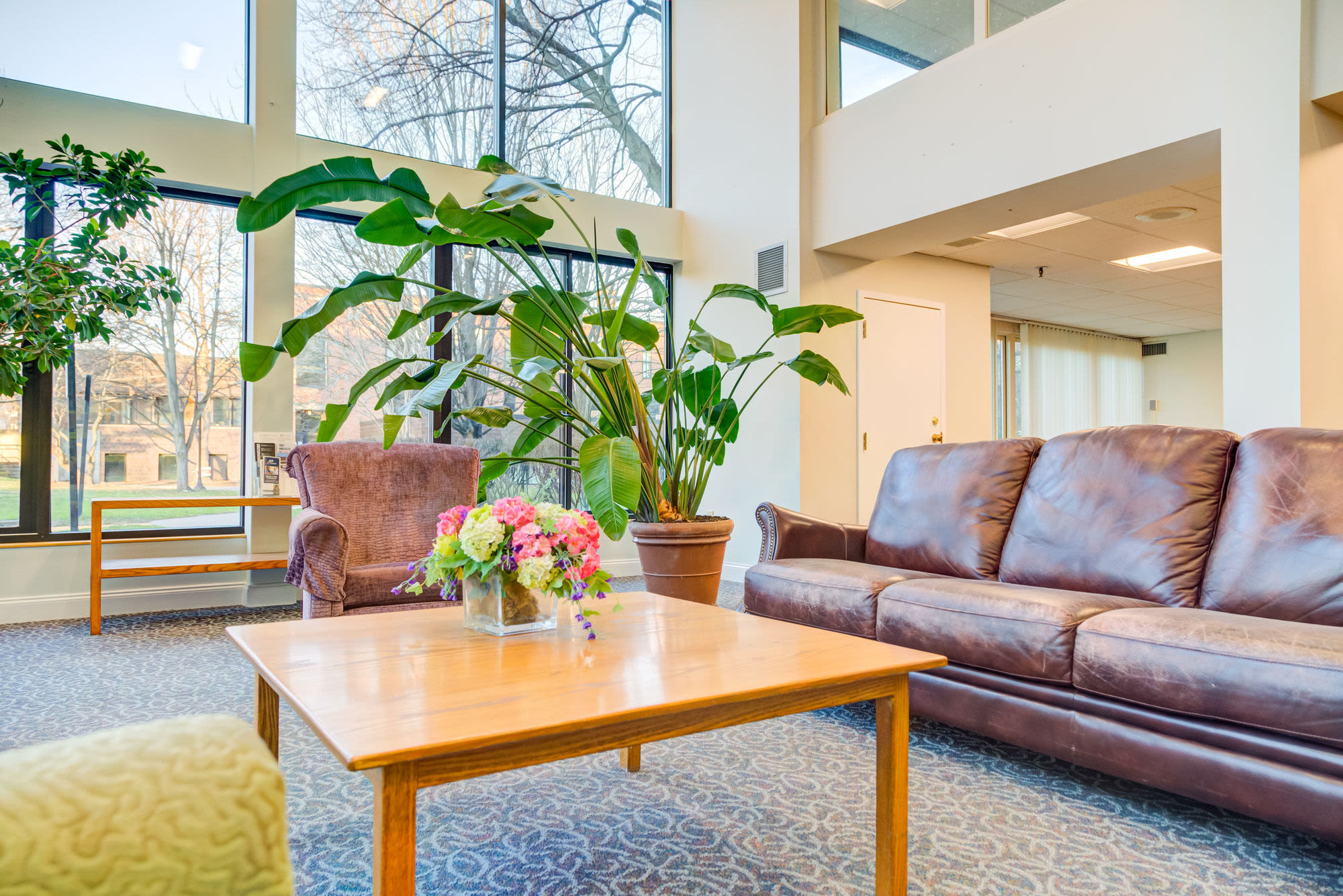 Community room with couch and indoor plant at Clark House in Amherst, Massachusetts, 