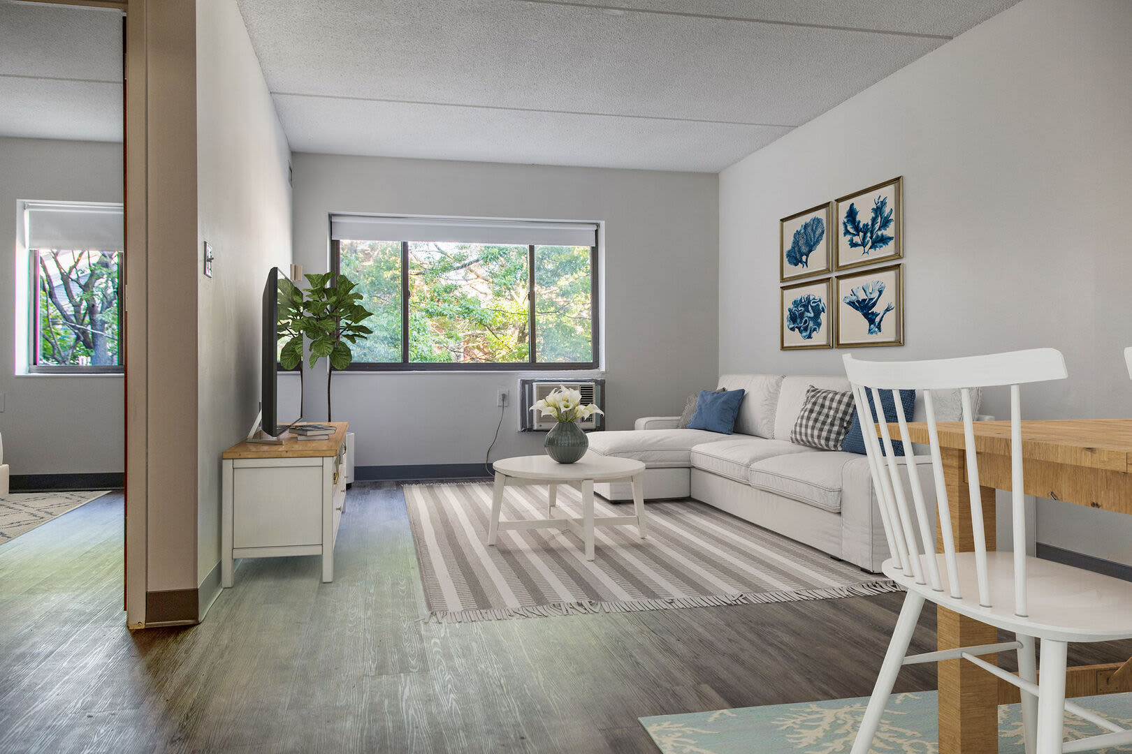 Living room with vinyl flooring and TV at Chelsea Village in Chelsea, Massachusetts
