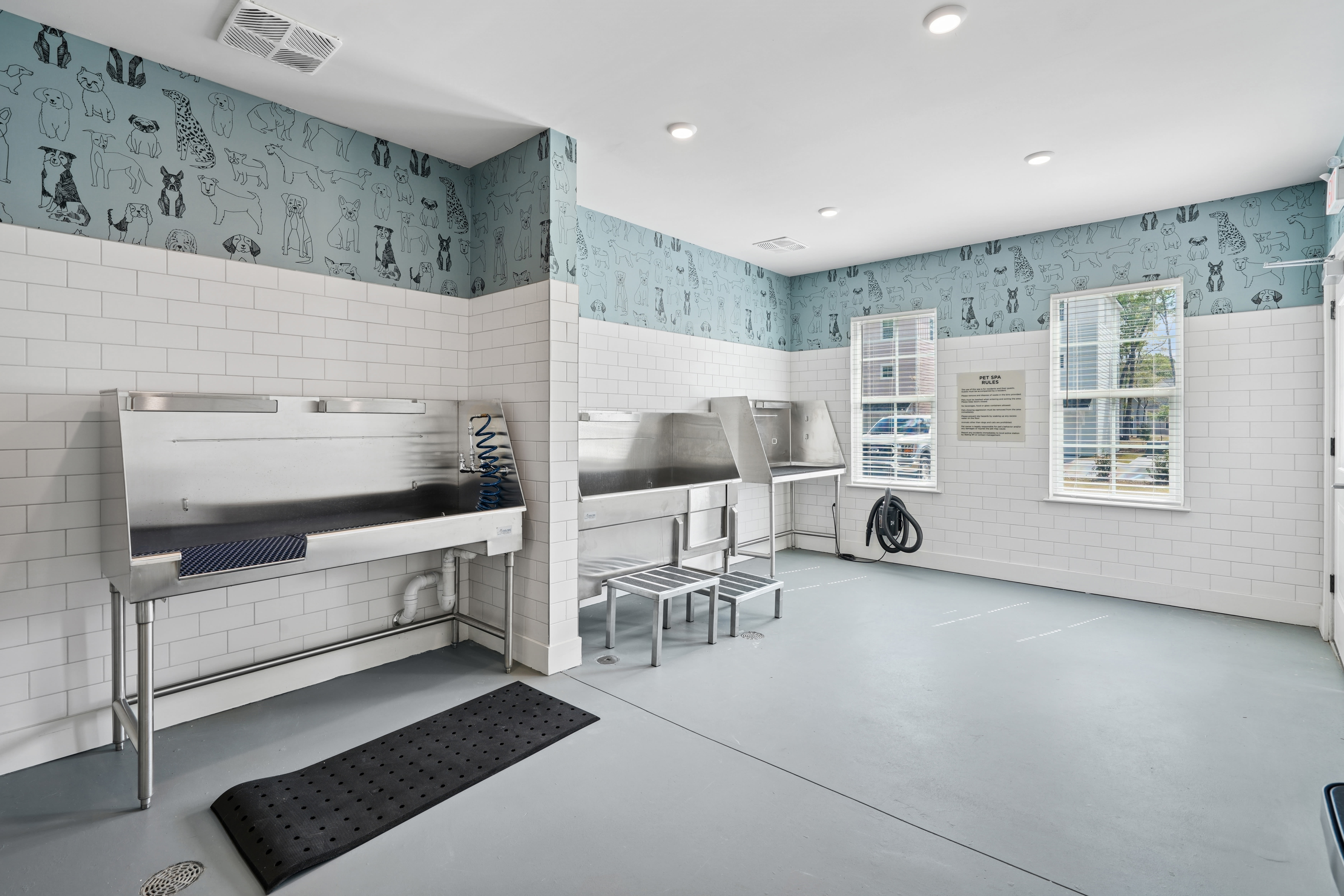 Pet washing station at Hamlet at Avalon Park in Wesley Chapel, Florida