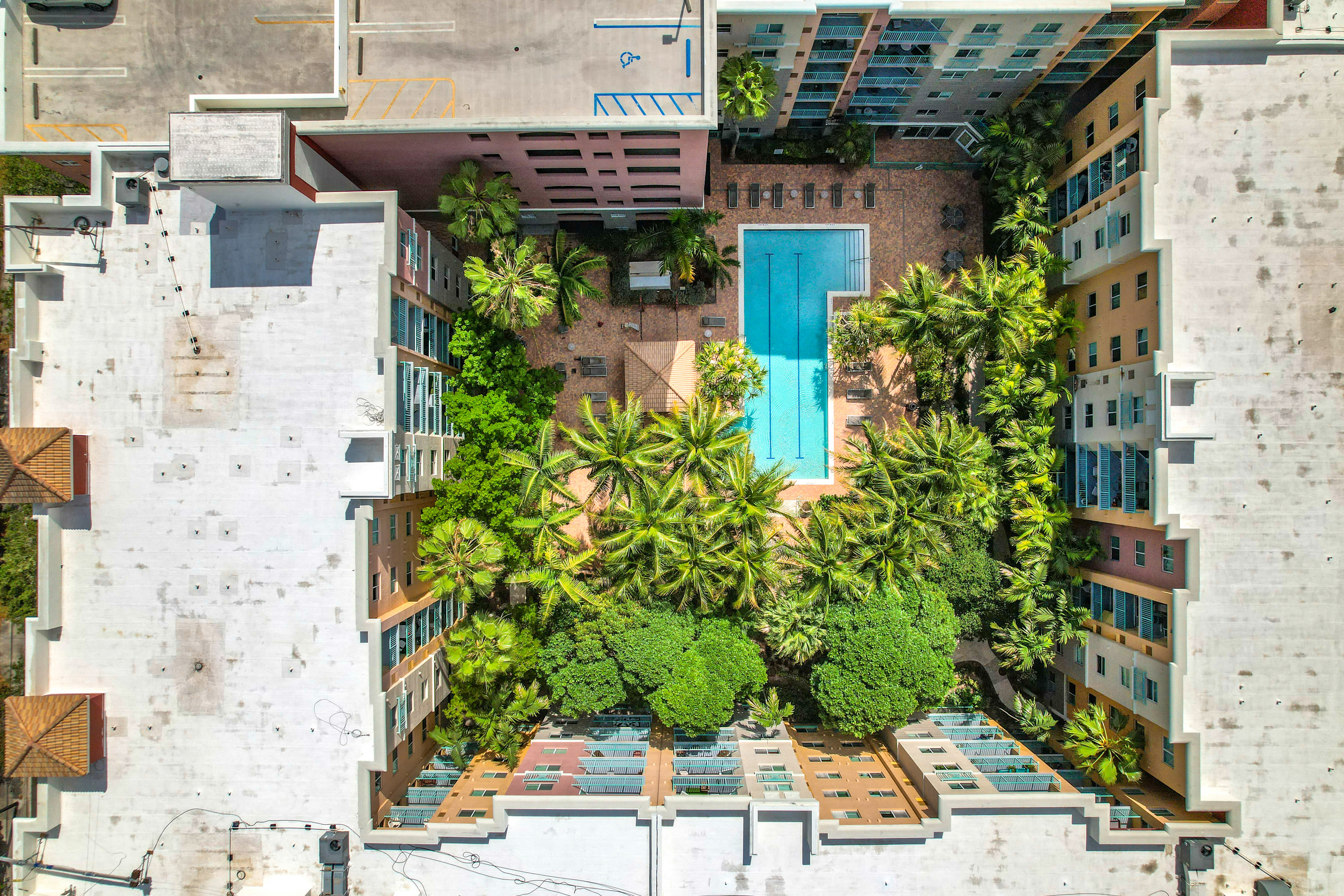 High-angle view of a courtyard with a swimming pool at Valencia South Miami in South Miami, Florida