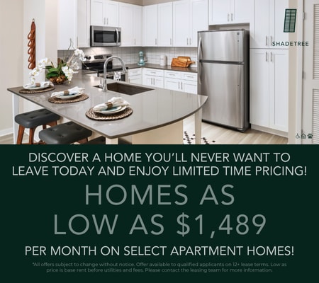 Shadtree Special Offer at Shadetree Apartments in Ruskin, Florida