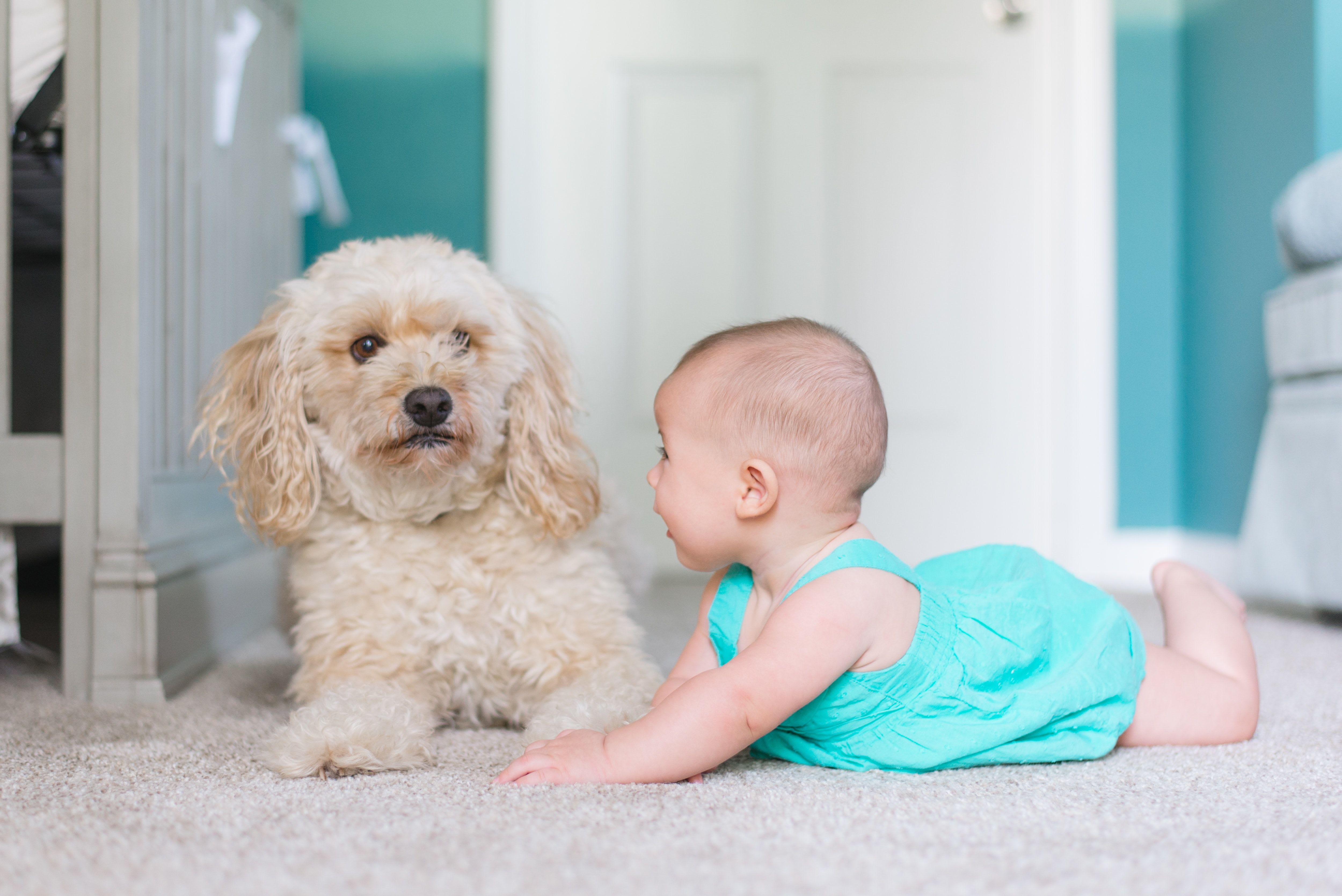 Happy puppy with a baby near Fifteen in Miami, Florida