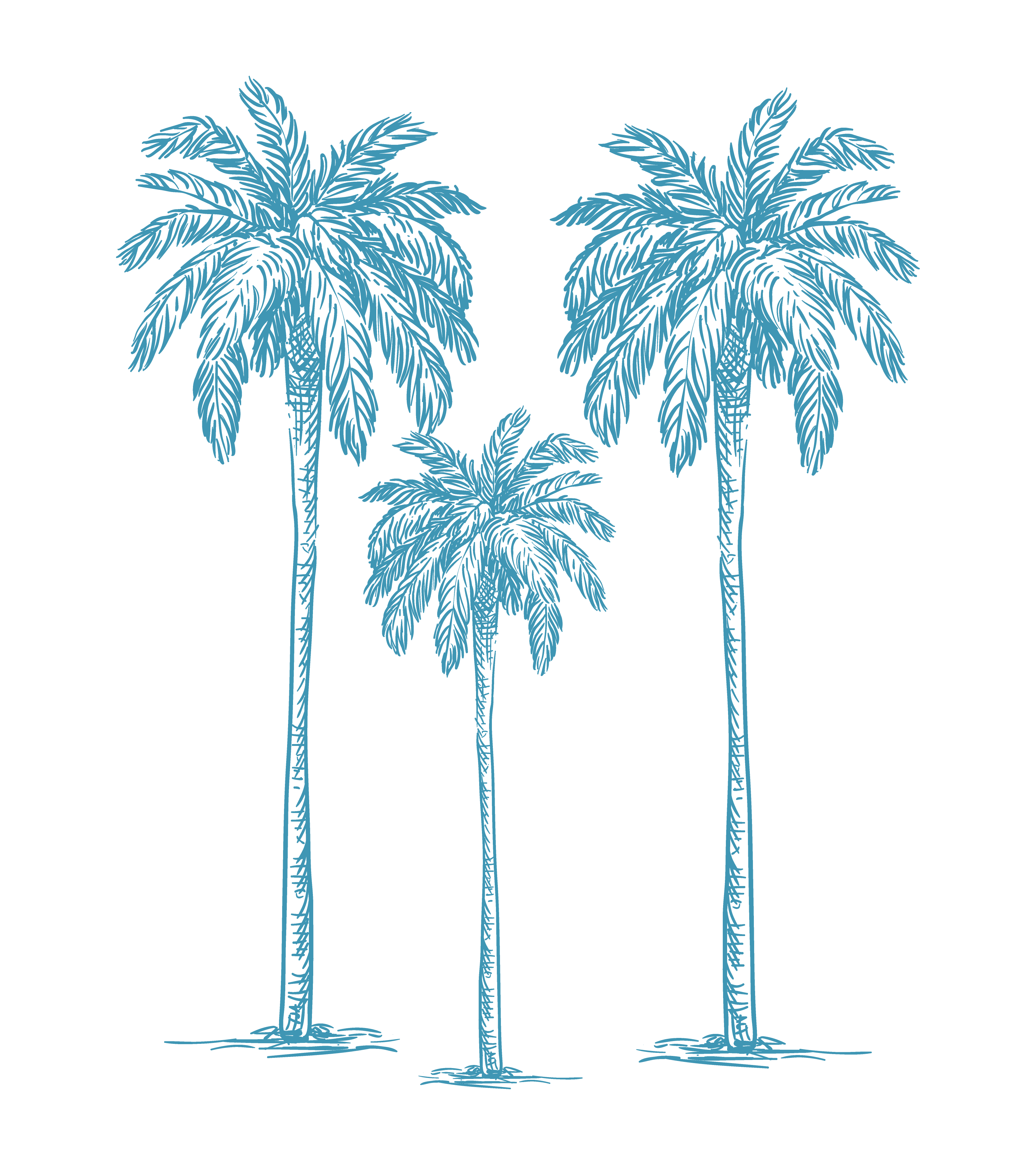 Palm tree icon