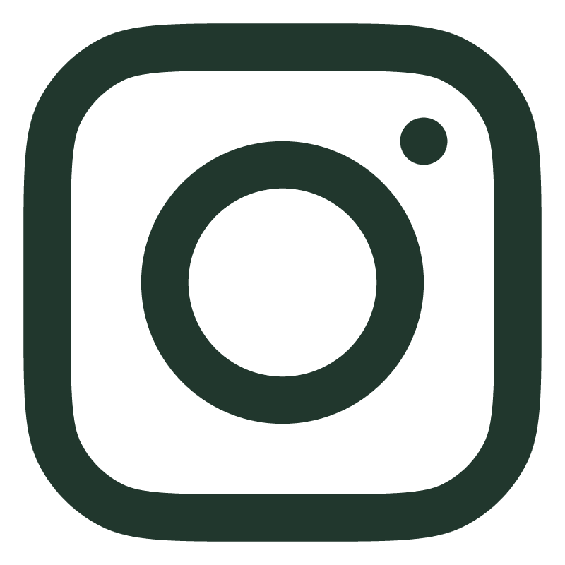 Instagram icon