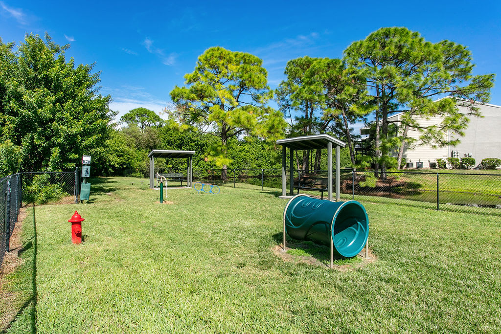 Dog park at Trellis at the Lakes in St. Petersburg, Florida