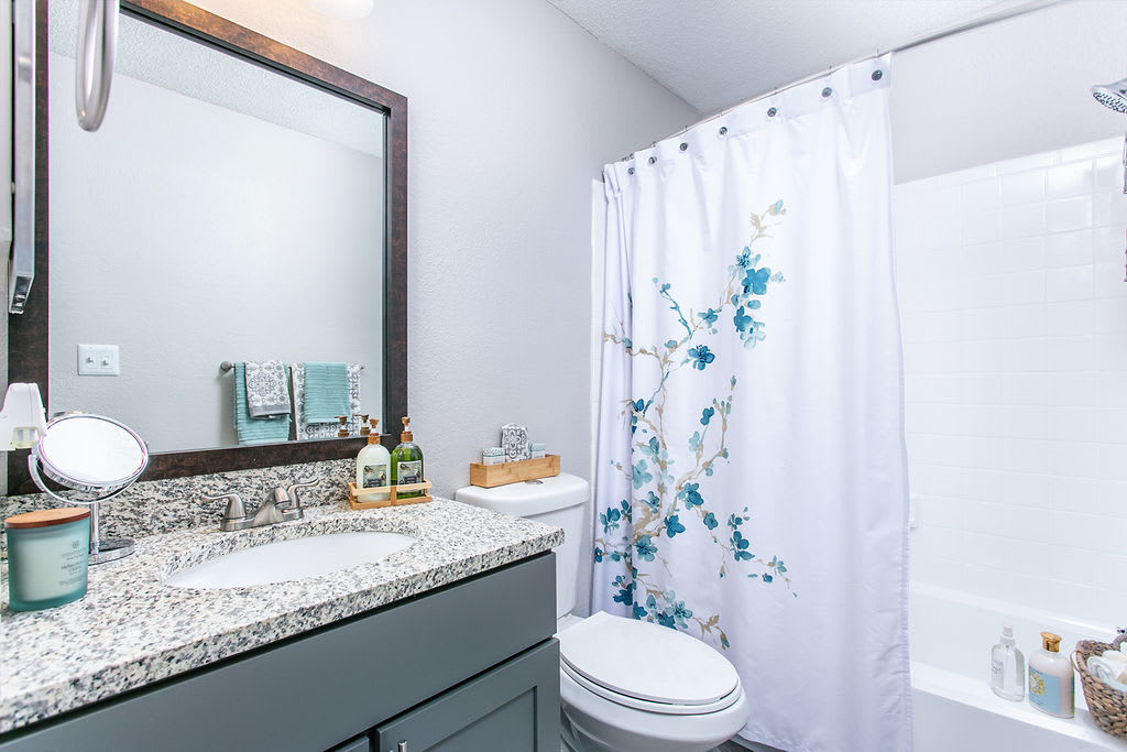 Modern bathroom with bath tub at Trellis at the Lakes in St. Petersburg, Florida