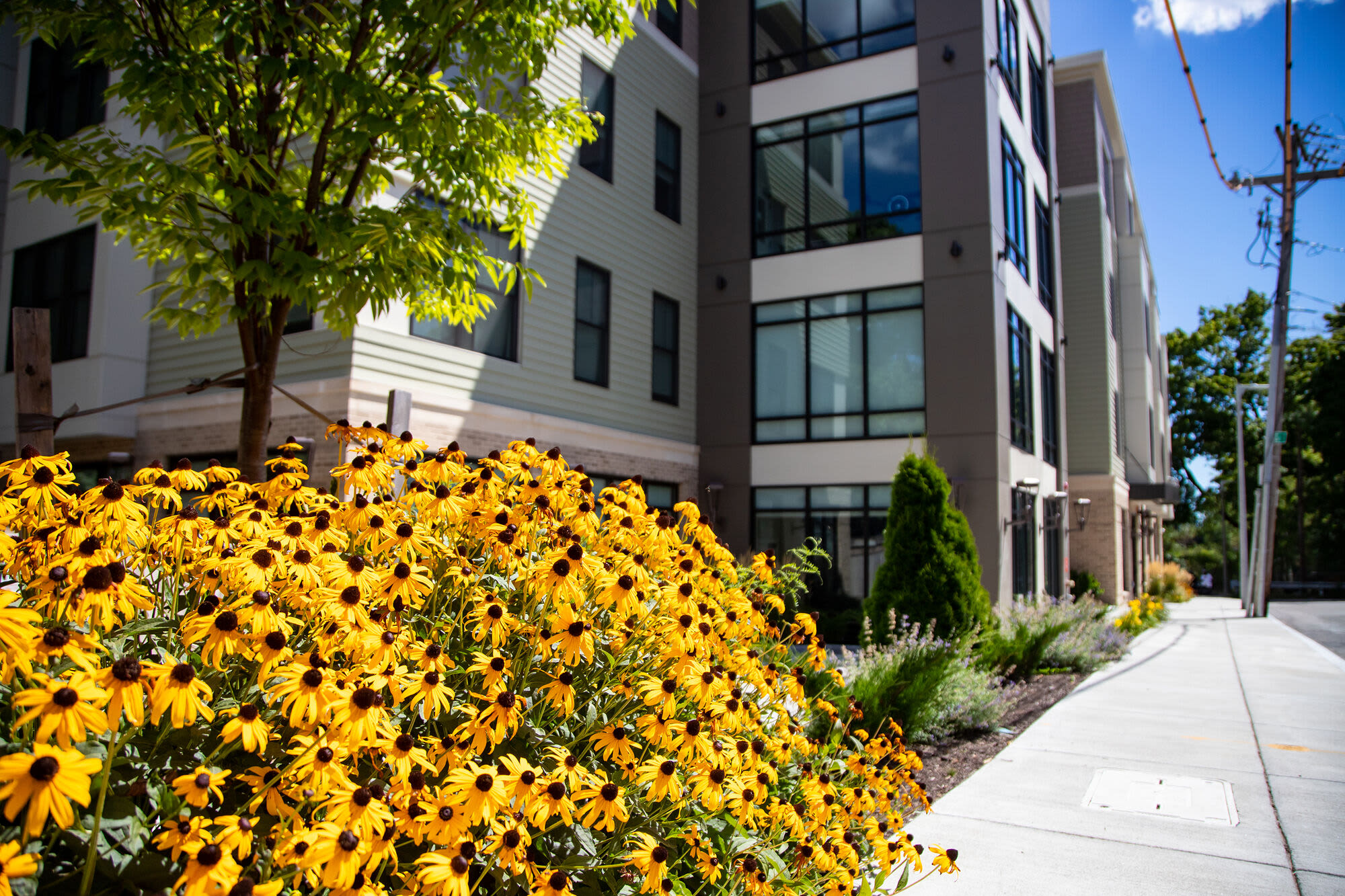 Walkway at Hearth at Four Corners in Dorchester, Massachusetts, 