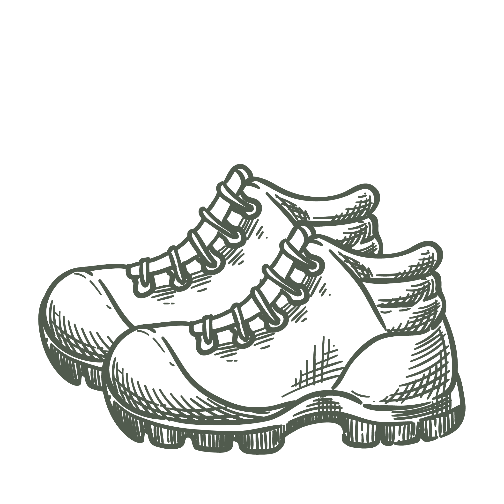 shoes icon