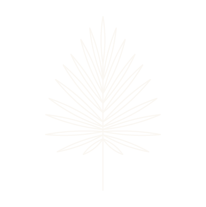 Palm icon