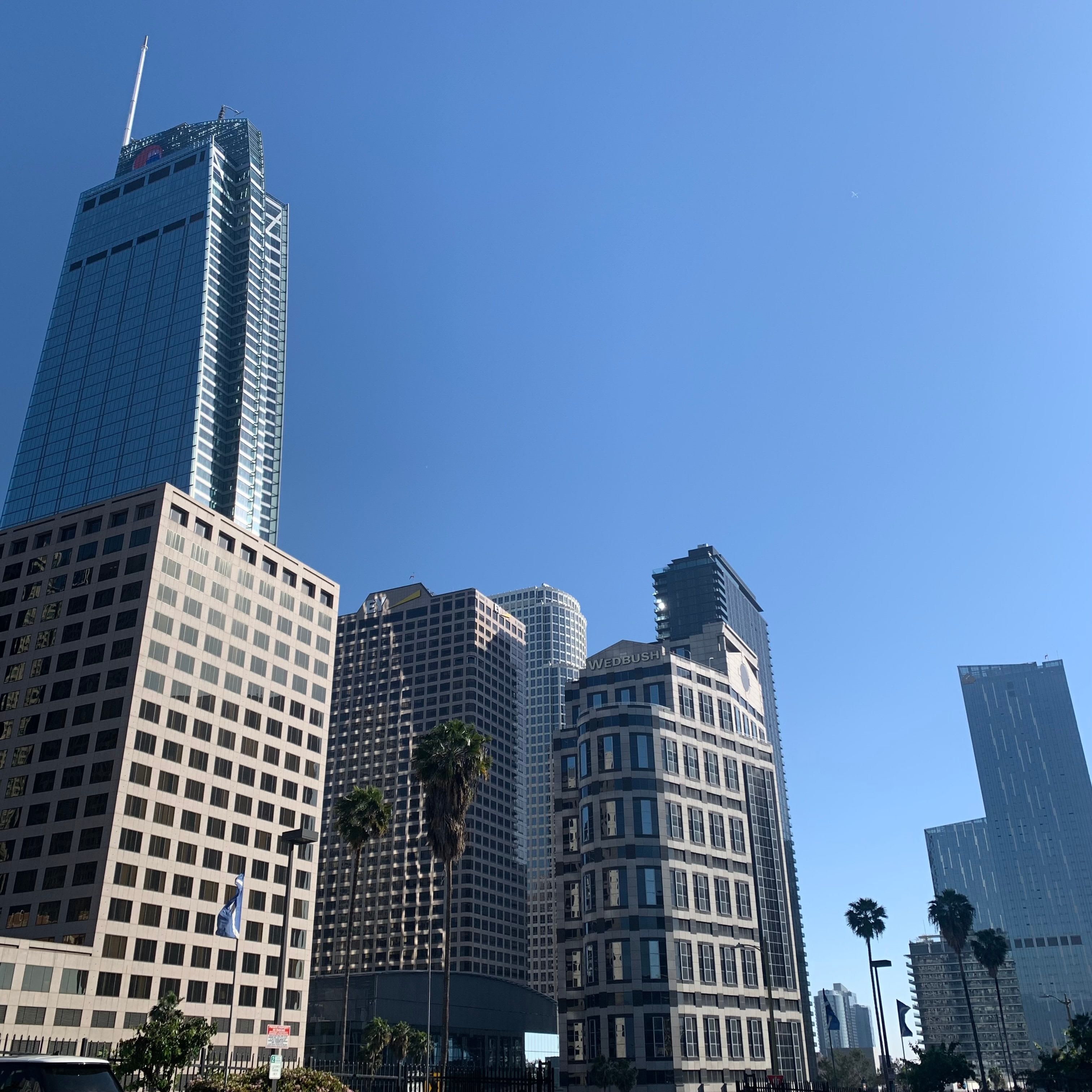 Skyline at Los Angeles Self Storage in Los Angeles, California