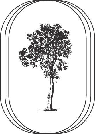 Tree icon for Main Street Vista