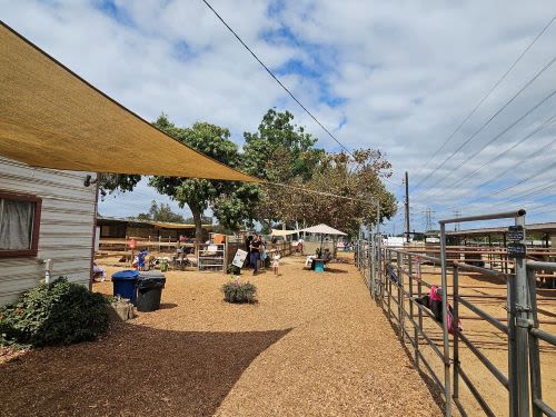 Barnyard Buddies in Lakewood, CA