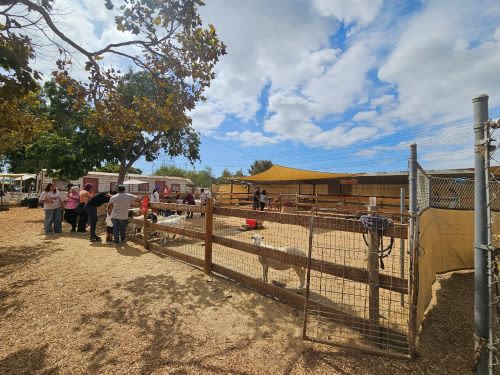 Barnyard Buddies in Lakewood, CA