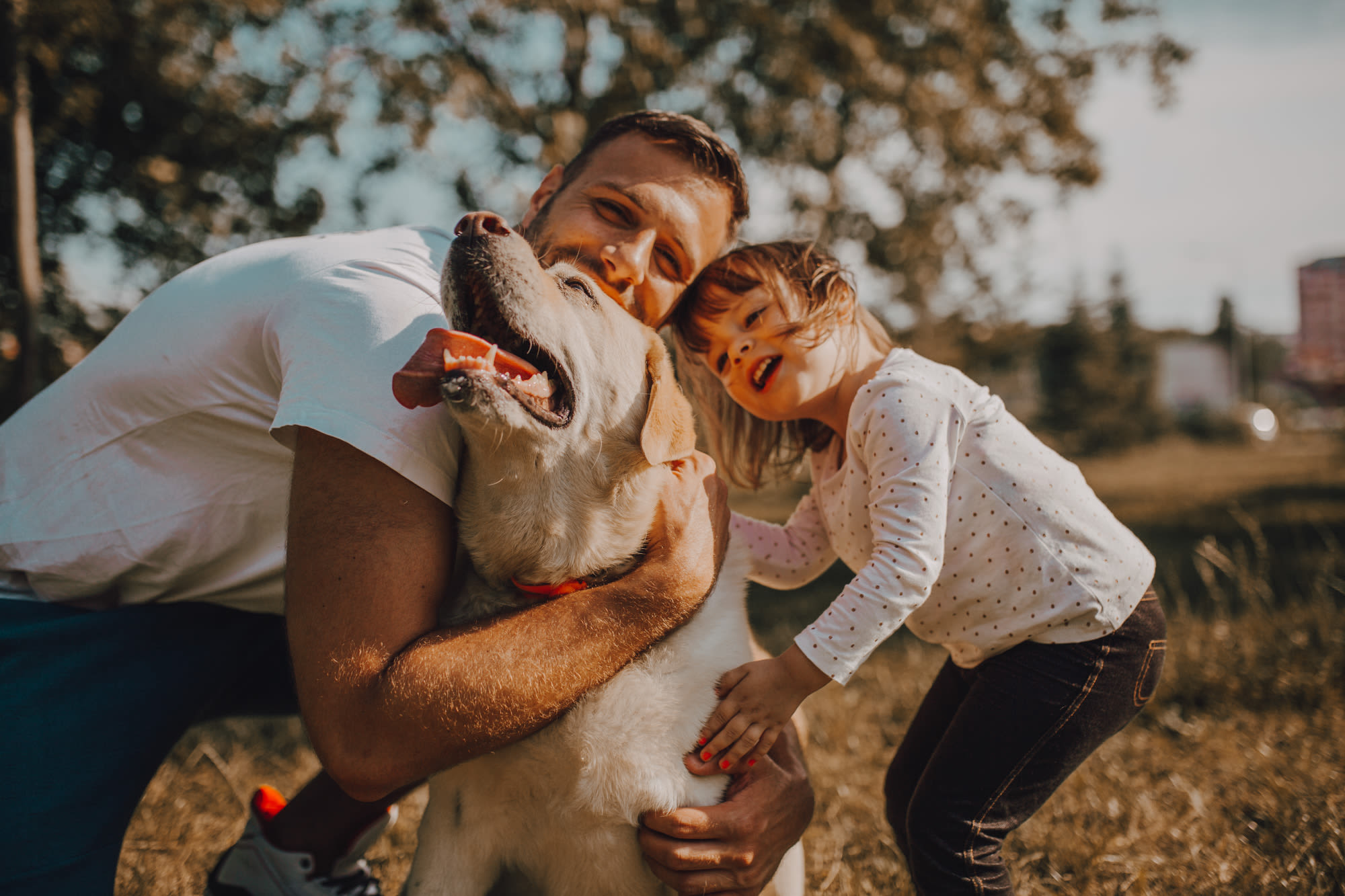 Contact Wrenfield at Pleasant View in Madison, WI