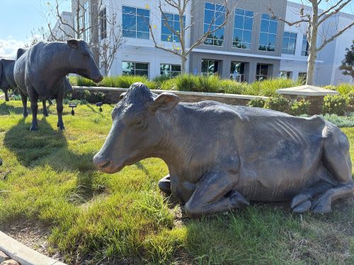 Chino, California: From Rancho Roots to Rapid Growth