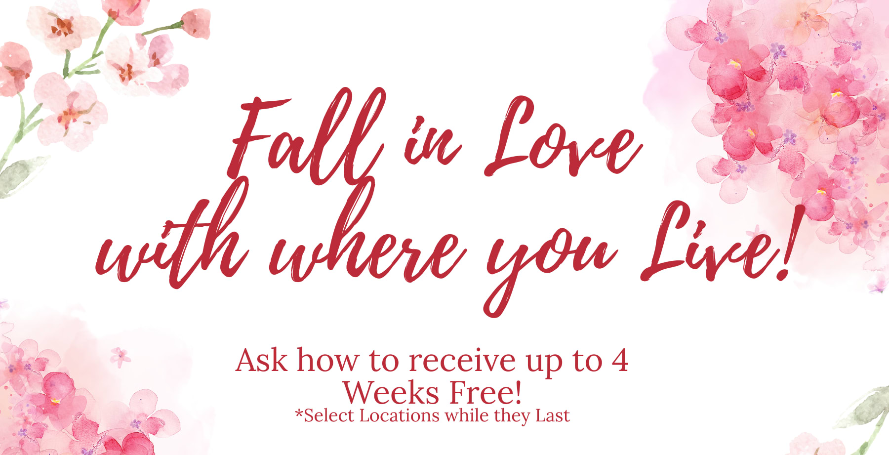 Specials at Fox Ridge in Longmont, Colorado