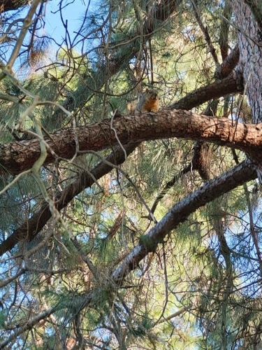 El Dorado Park Estates - Long Beach, CA