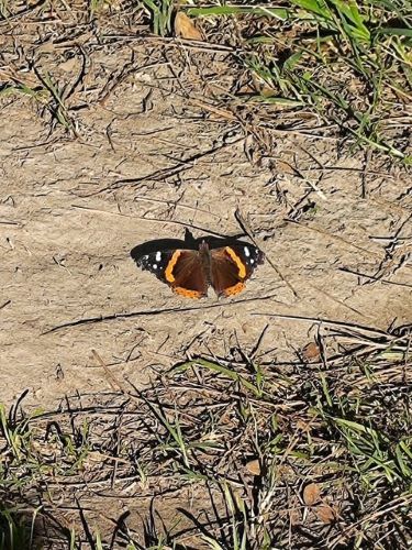 El Dorado Park Estates - Long Beach, CA