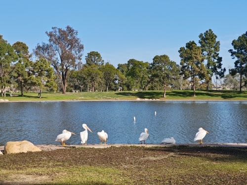 El Dorado Park Estates - Long Beach, CA