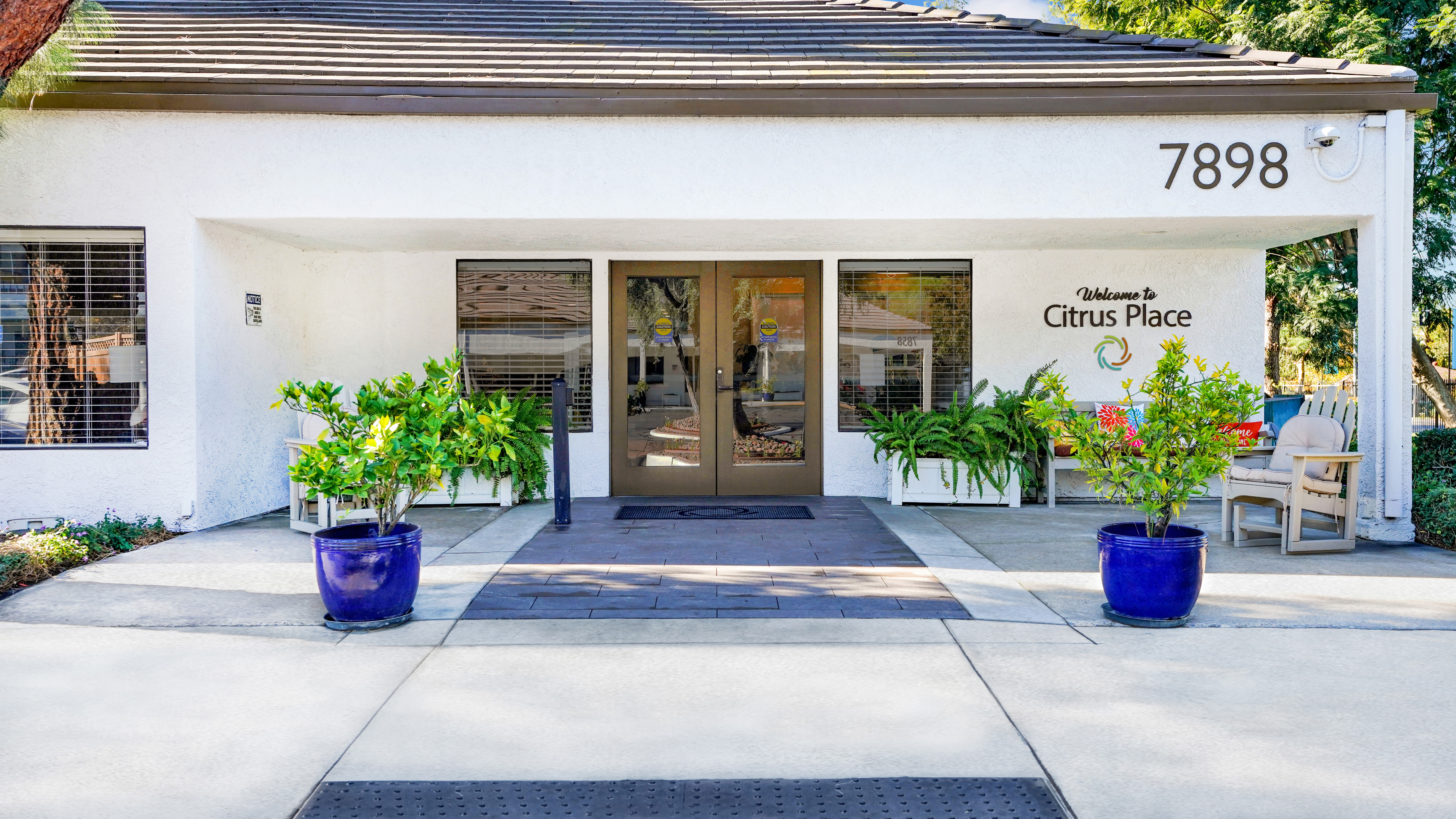 Concrete walkway running through a green lawn with trees, leading toward residential buildings and a fenced swimming pool area under a sunny sky at Citrus Place in Riverside, California