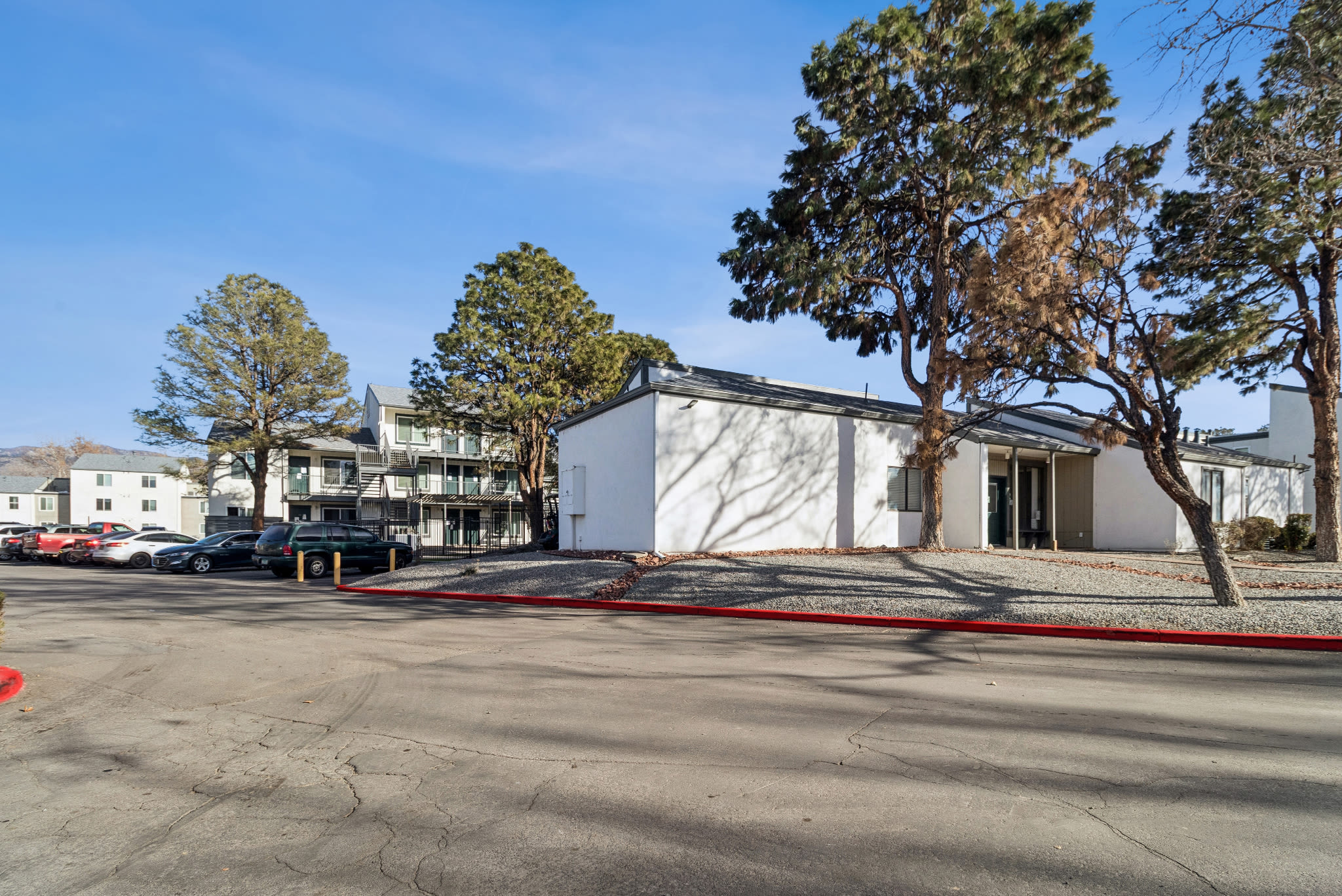 Exterior view of residential buildings, parking area, and large trees under clear sky at Pinewood Estates in Albuquerque, New Mexico