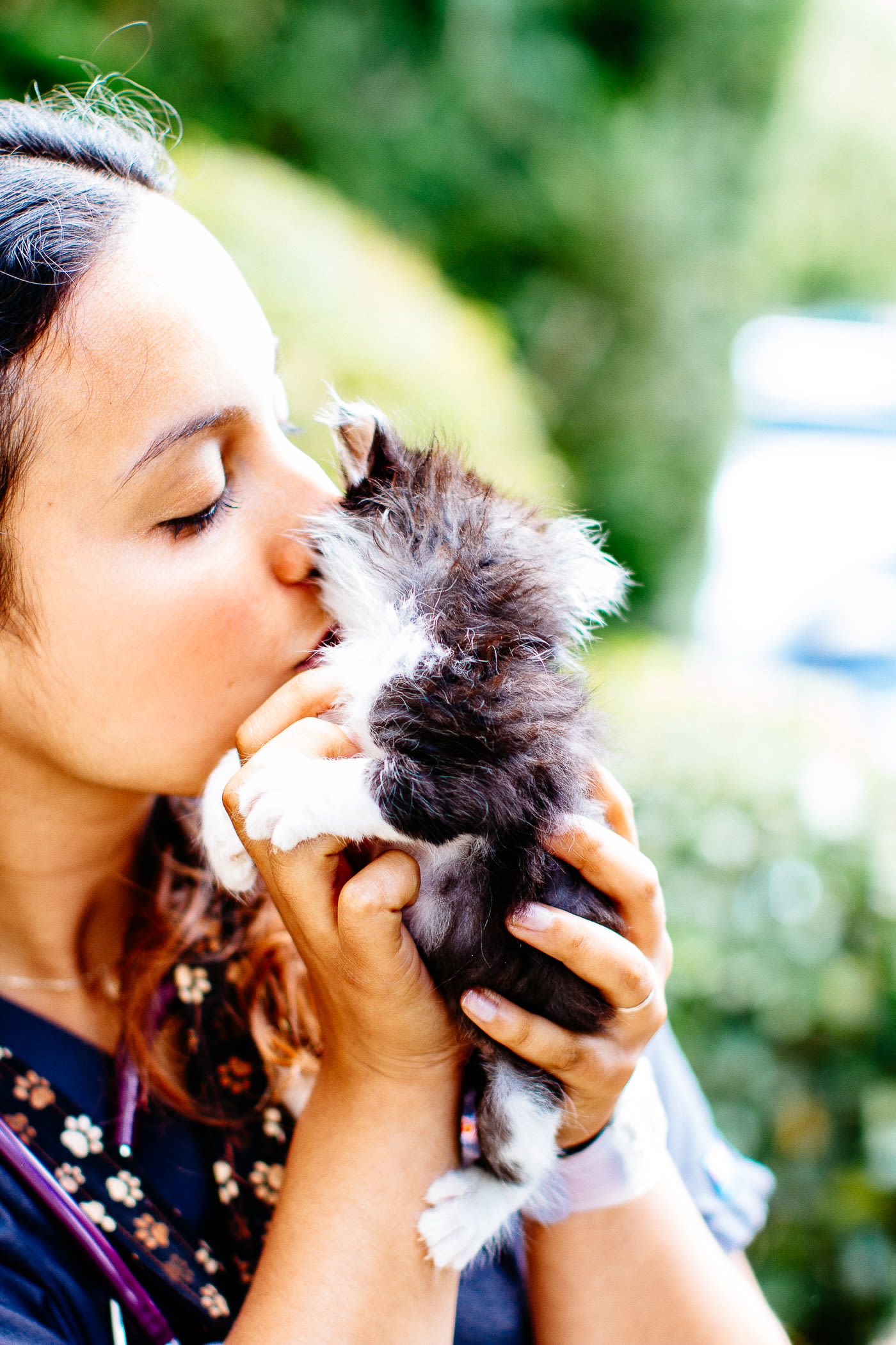 Pet dental care is important at Sumner Animal Hospital