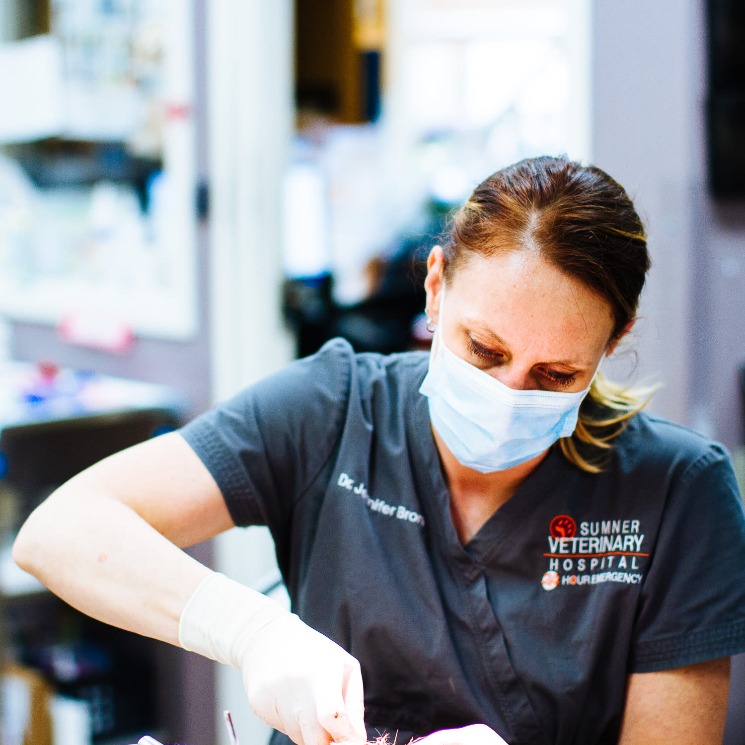 Sumner animal hospital dental care