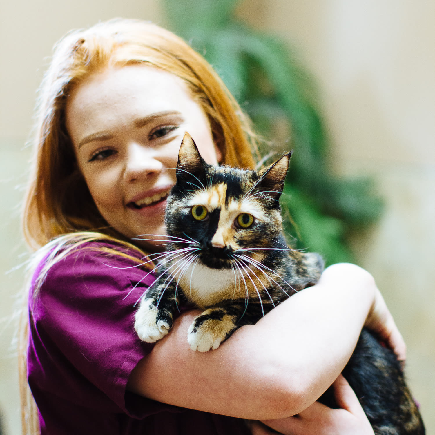 Sumner Animal Hospital boarding services