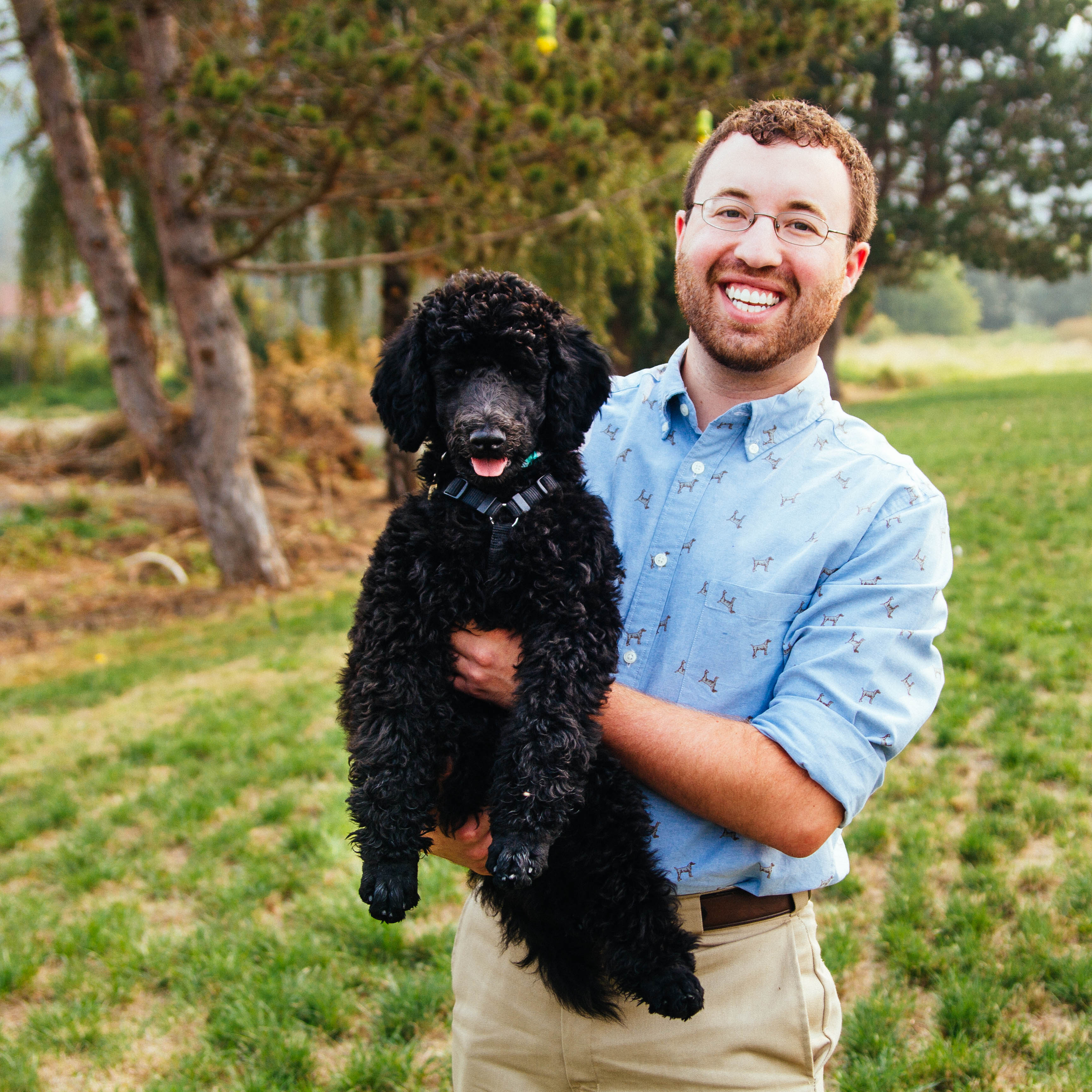 Treatment for your boarded pets at Sumner Animal Hospital