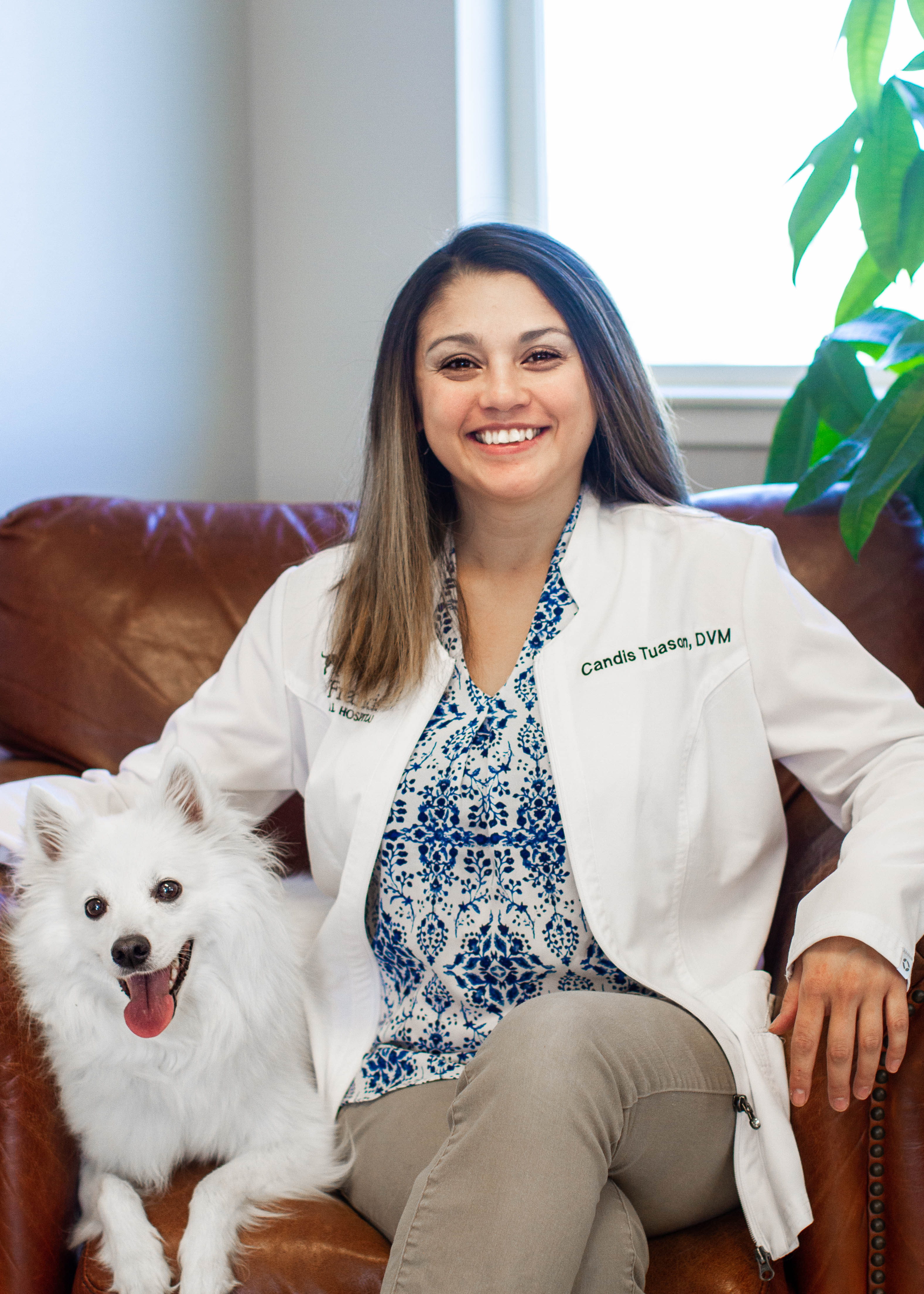 Our Skilled Veterinarians St. Francis 24hr Animal Hospital