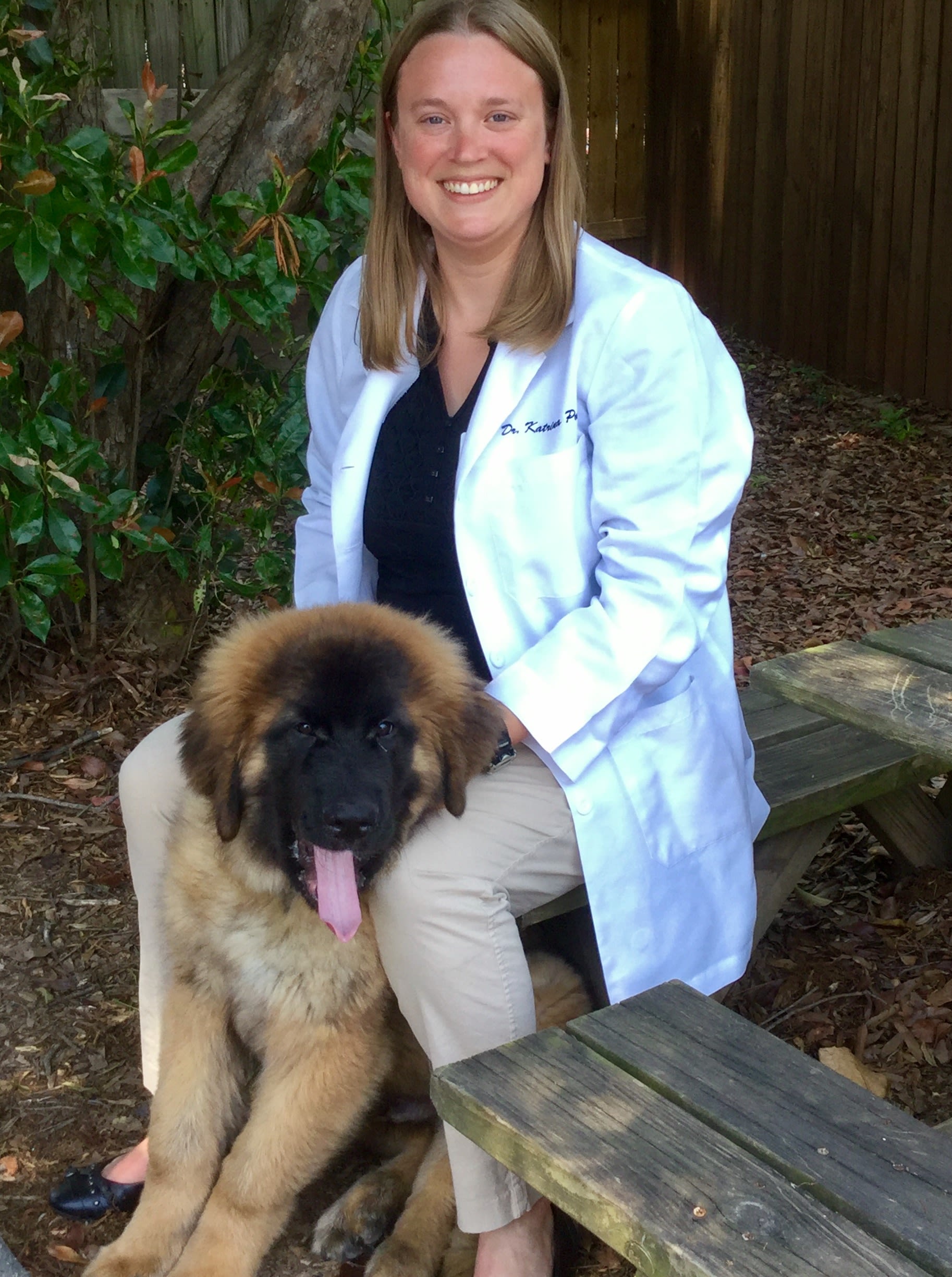 Katrina Posey, DVM at Raleigh Animal Hospital
