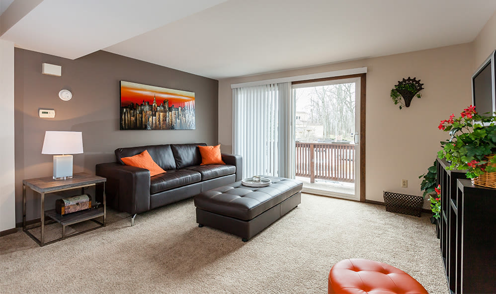 Raintree Island & Paradise Lane Apartments 2 of 2