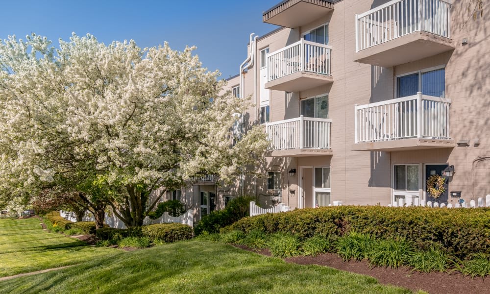 Curren Terrace Apartment Homes 2 of 2