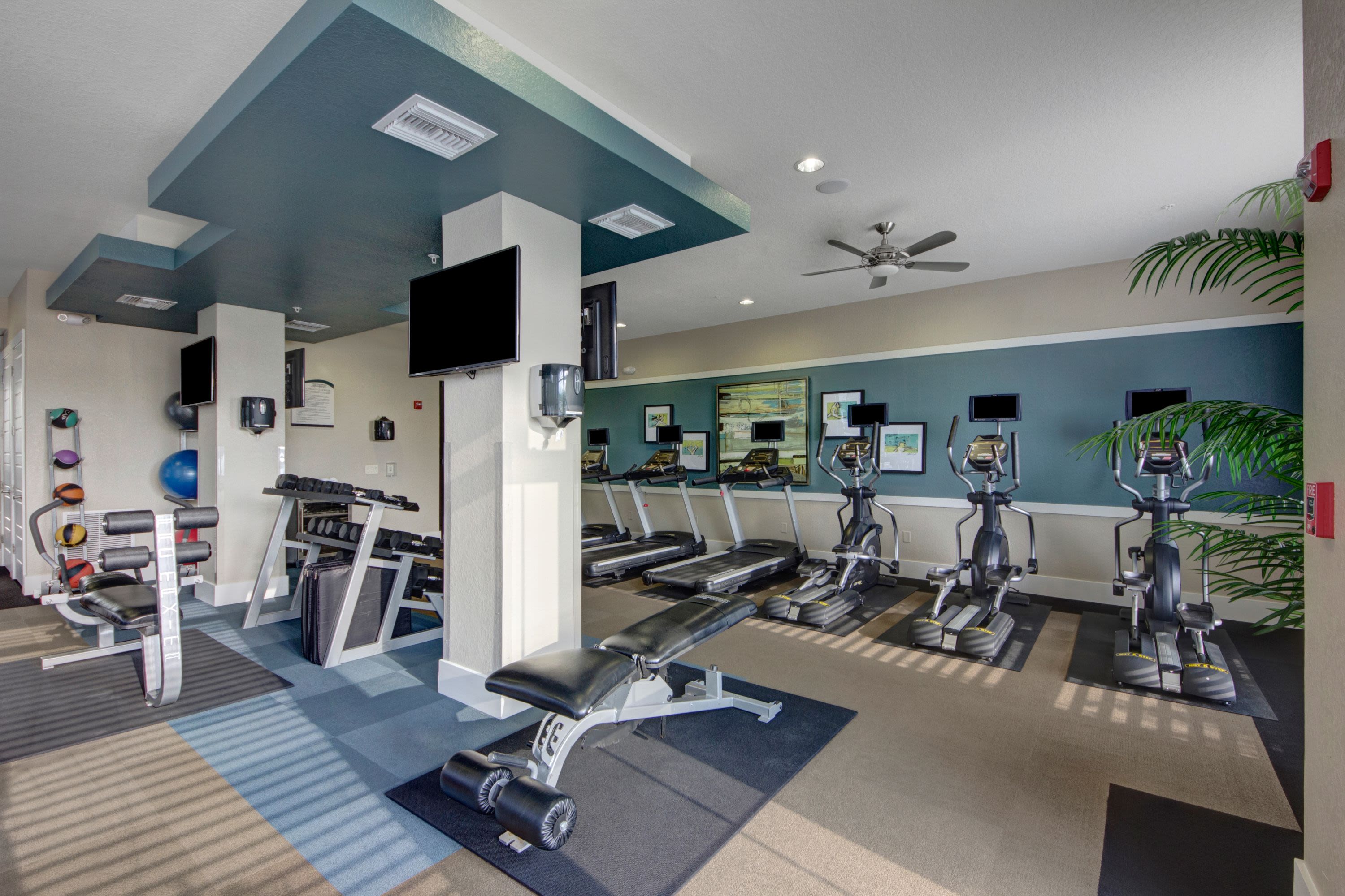 Fitness equipment at The Courtney at Lake Shadow in Orlando, Florida