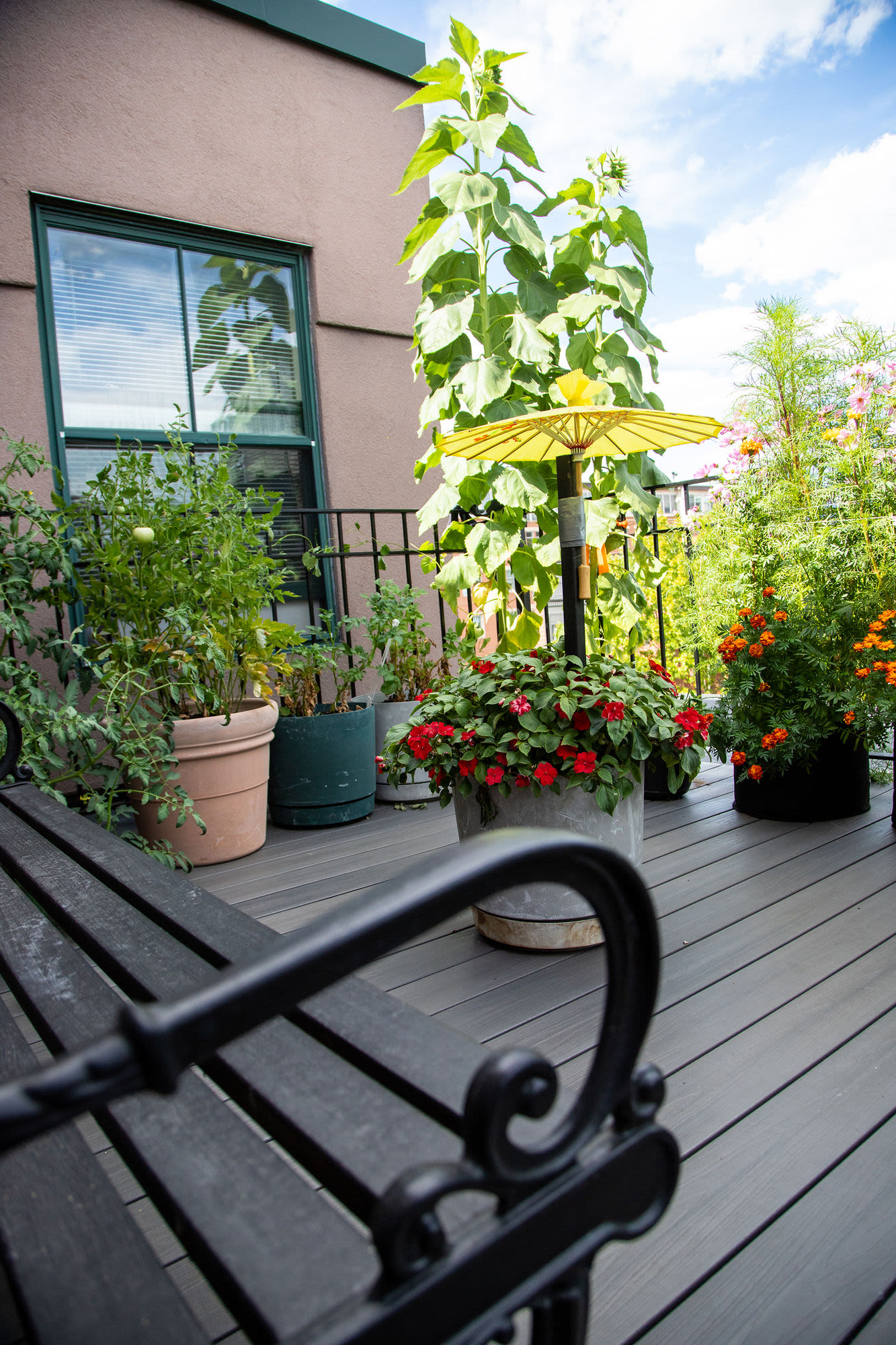 Garden with seating space at Hearth Anna Bissonnette House in Boston, Massachusetts