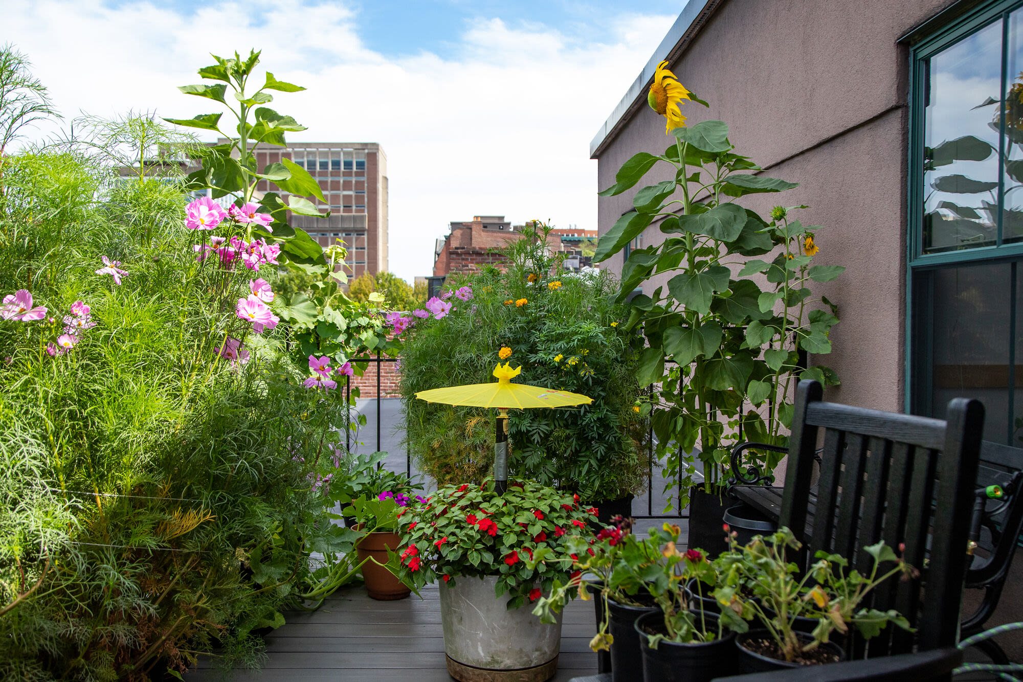 Roof top garden at Hearth Anna Bissonnette House in Boston, Massachusetts