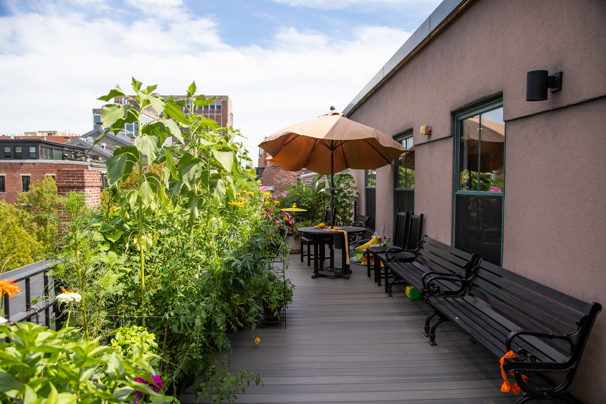 Patio area at Hearth Anna Bissonnette House in Boston, Massachusetts