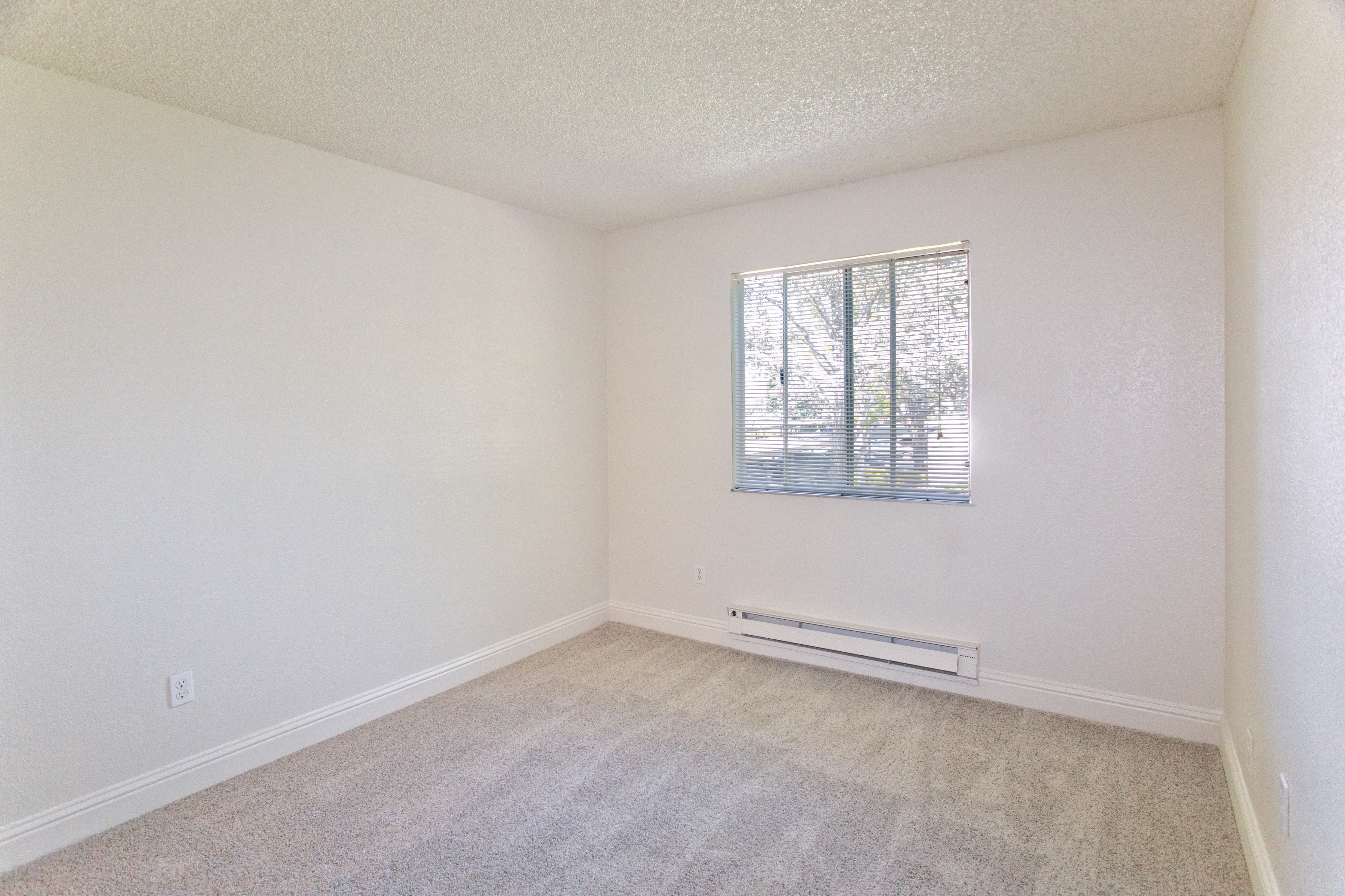 Bedroom with plush carpet and baseboard heating at Trinity Way in Fremont, California