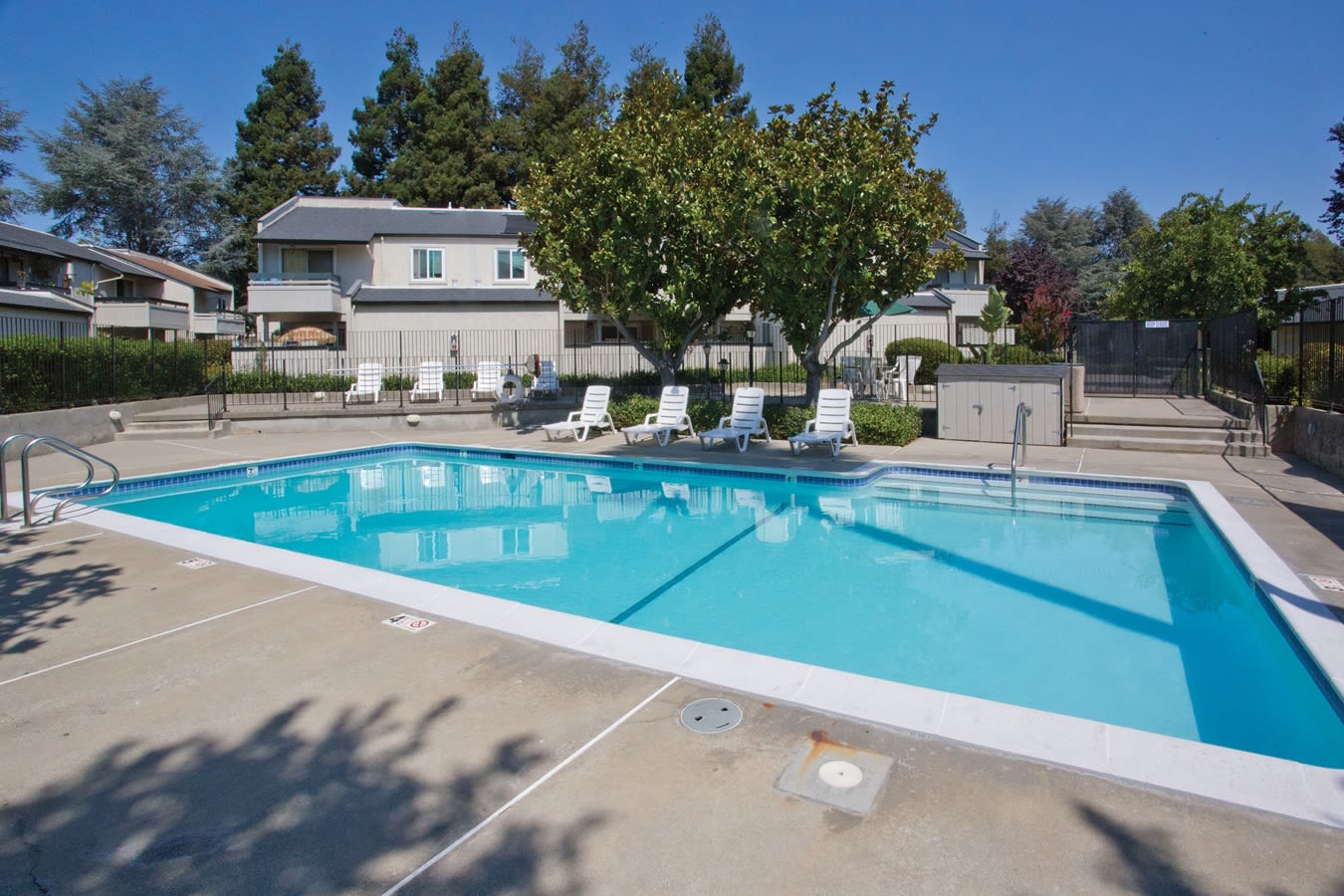 Pool at Trinity Way in Fremont, California