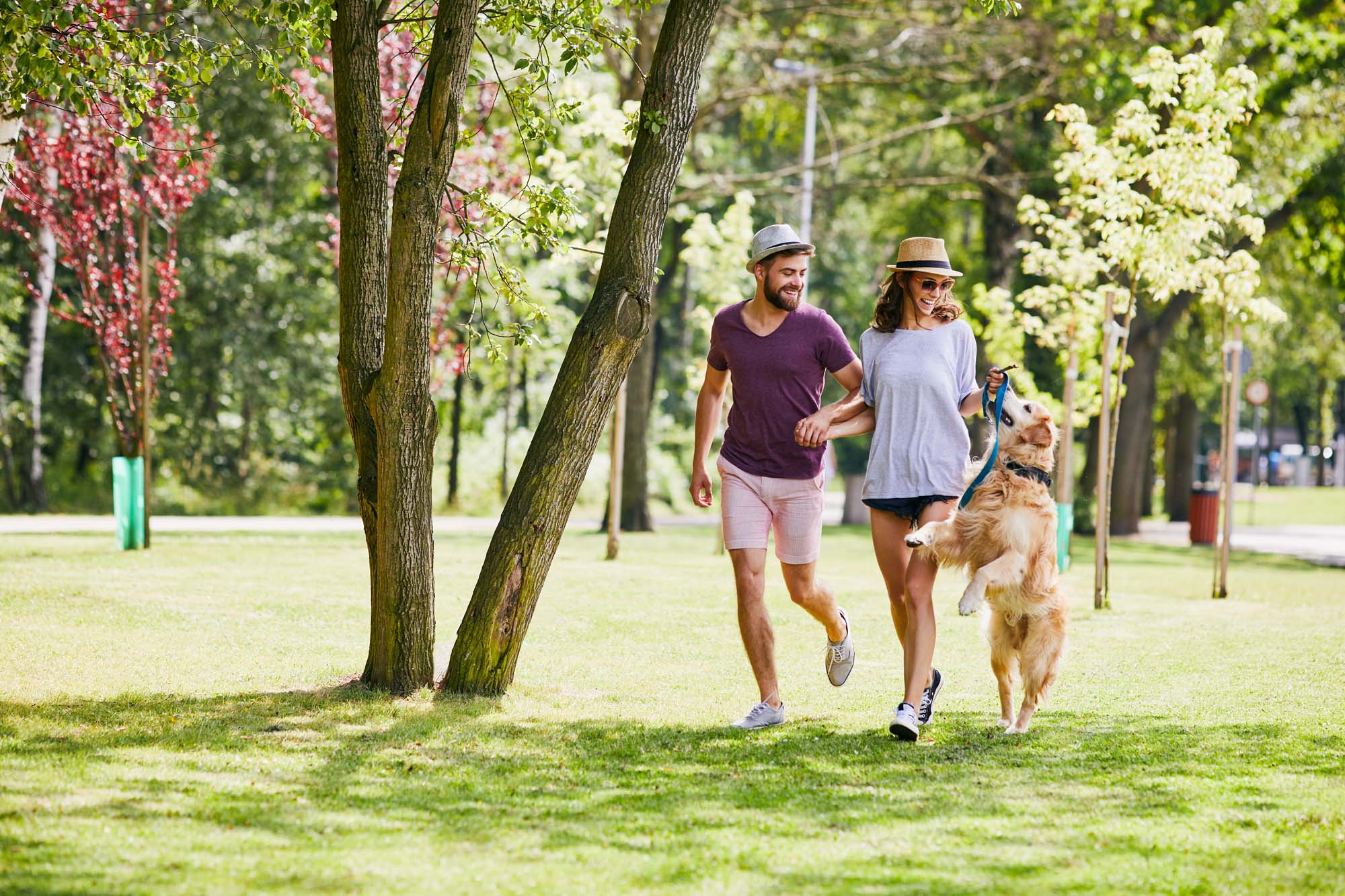 Residents play with their pet in our tree-lined green spaces at Blue Bell Village One in Houston,Texas