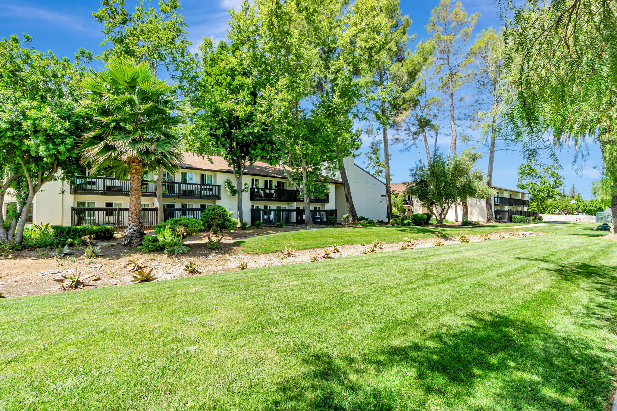 Landscaped lawn with mature trees and multi‑story residential buildings on a sunny day at Clayton Gardens in Concord, California