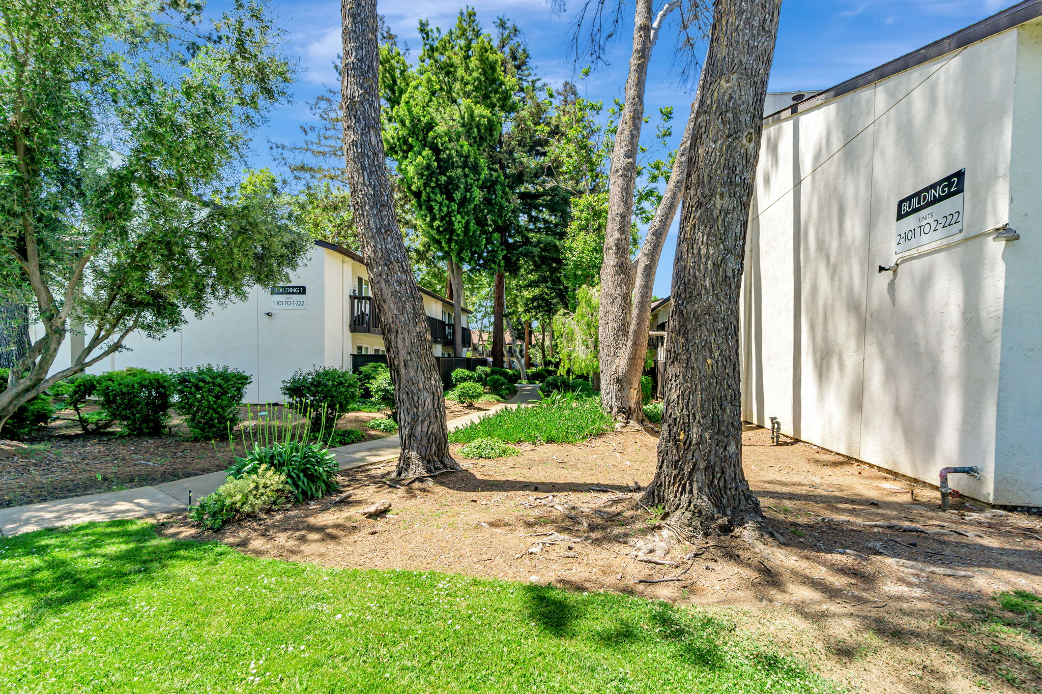 Walkway between shaded residential buildings with tall trees and landscaped greenery at Clayton Gardens in Concord, California