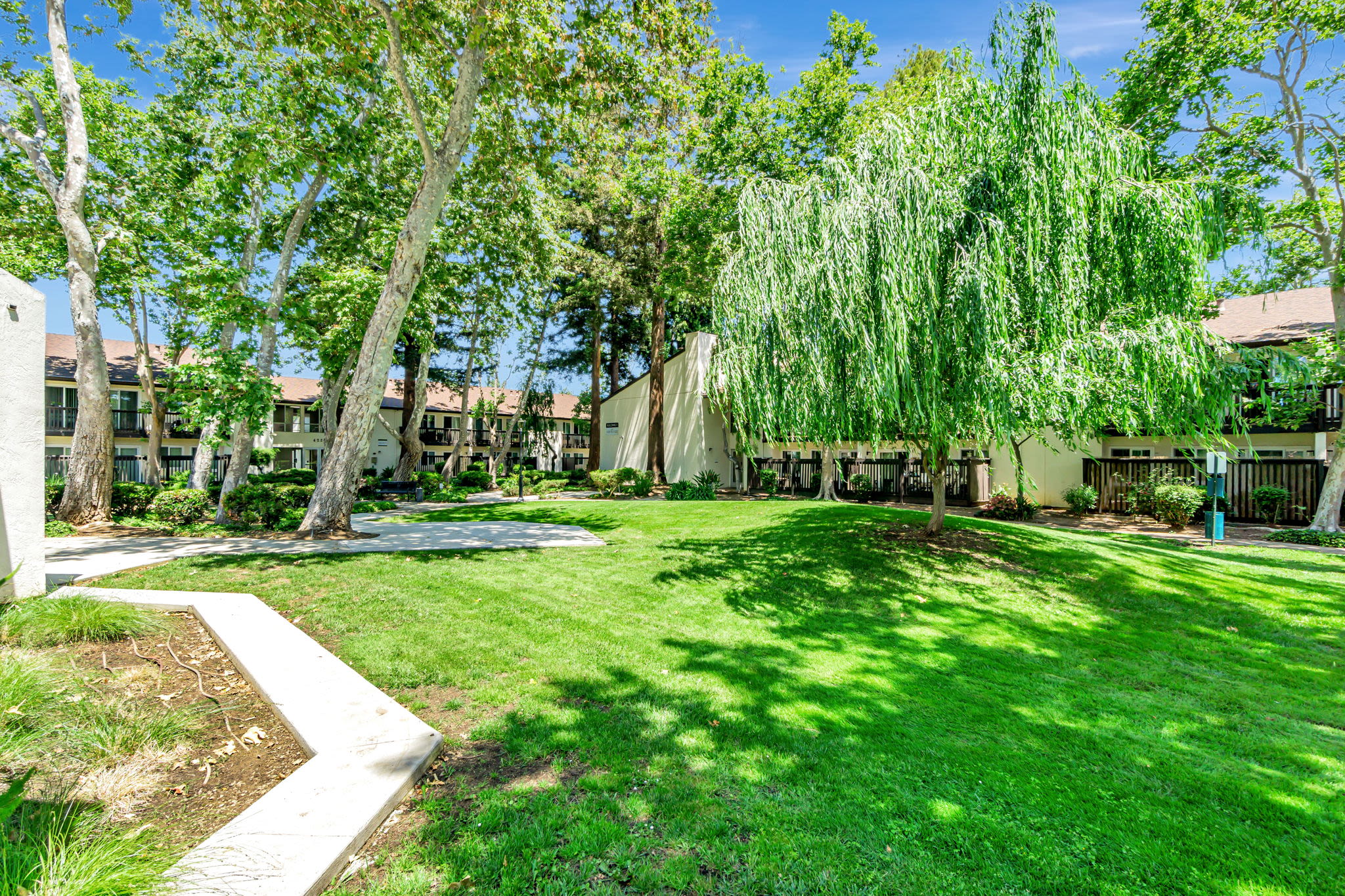 Shaded courtyard with open lawn, tall trees, and surrounding residential buildings at Clayton Gardens in Concord, California