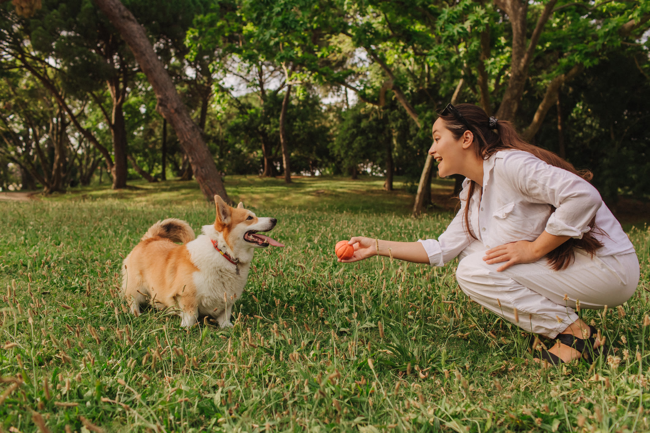 A resident and their dog at Summit at Bealeton in Bealeton, Virginia