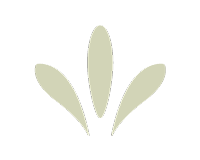 Graphic Mark