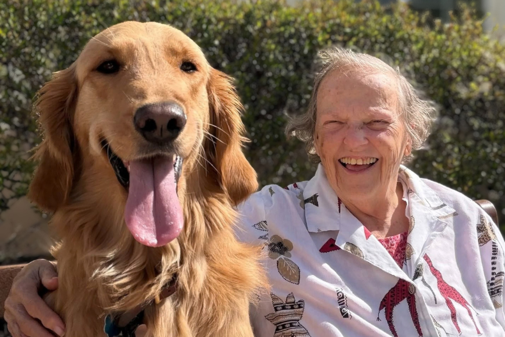 Pet Therapy