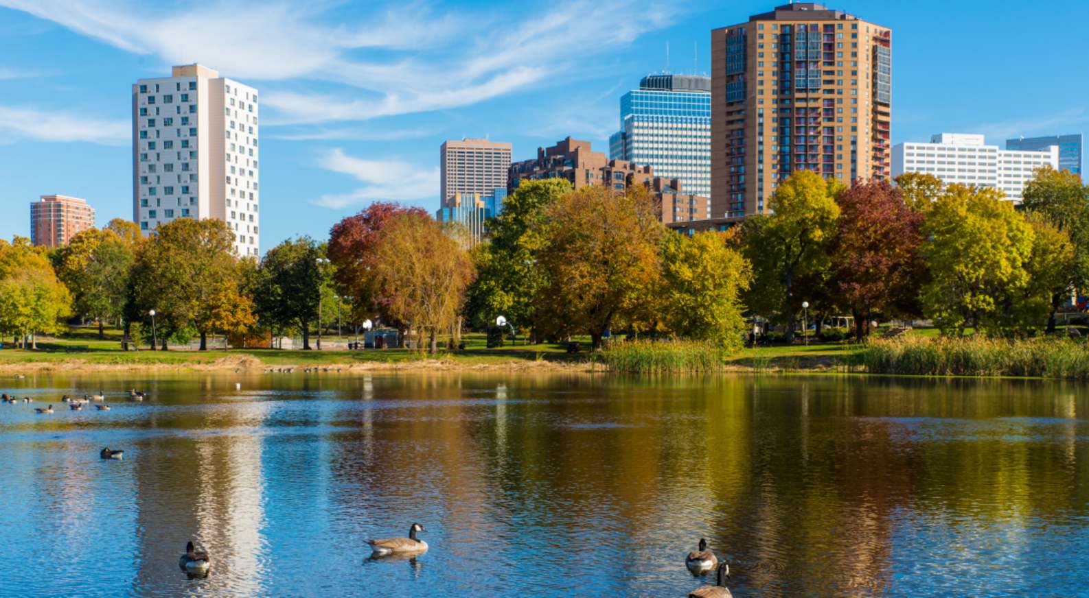 Loring Park Apartments photo