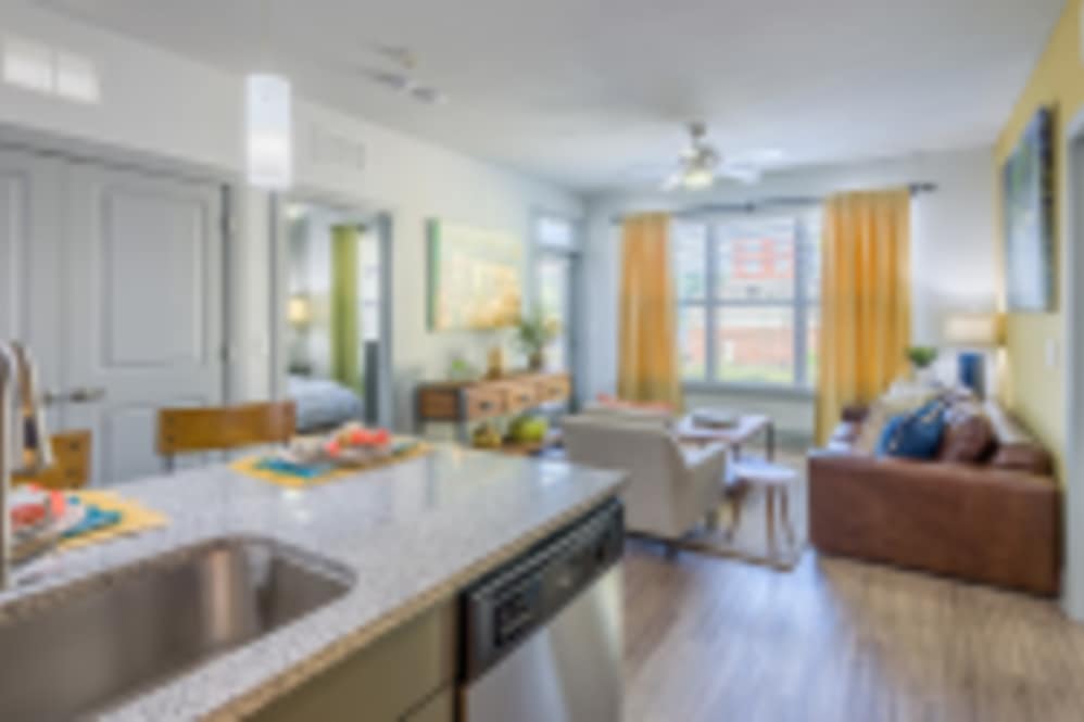 1-bedroom apartment at The District Apartments in Asheville